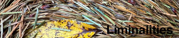 Liminalities name over a mosaic of faces